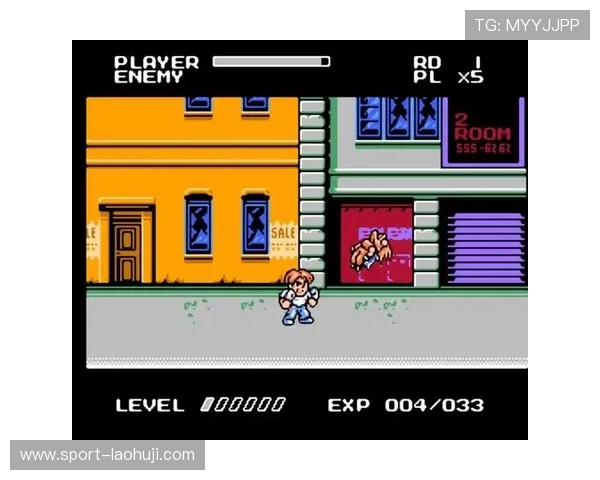 FC游戏ROM存档与模拟器配置技巧，轻松畅玩复古经典游戏